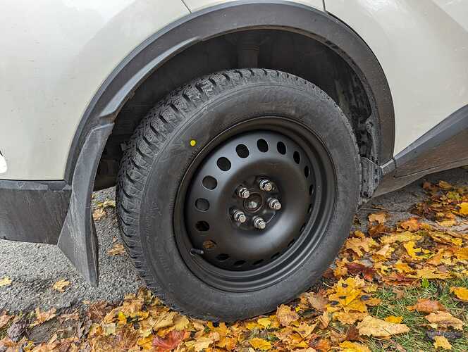 PXL_20231031_125011237