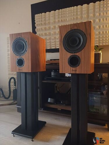 4560072-33f92596-omega-baby-alnico-monitors-bam-premium-french-walnut-finish